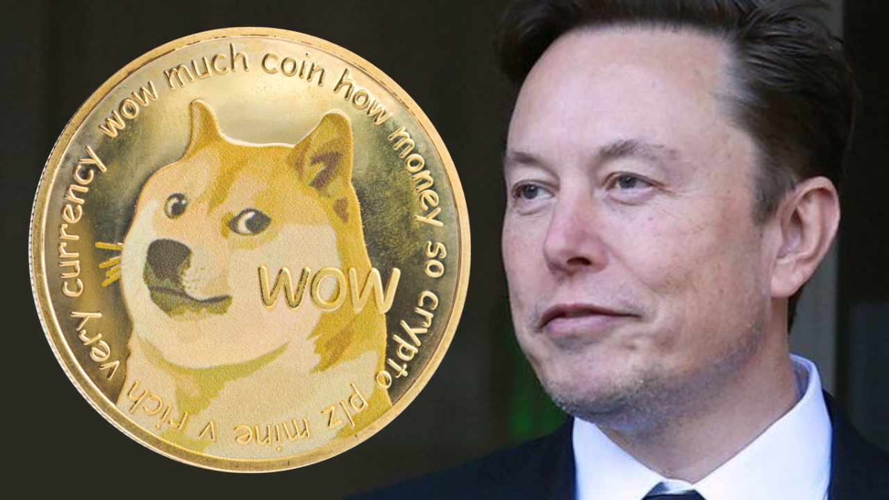 Dogecoin Value Surged 15% Elon Musk