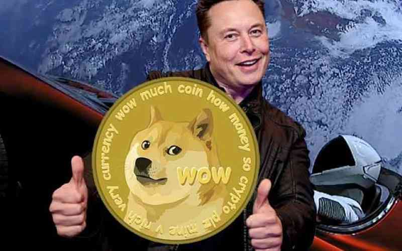 Dogecoin value surged Elon Musk